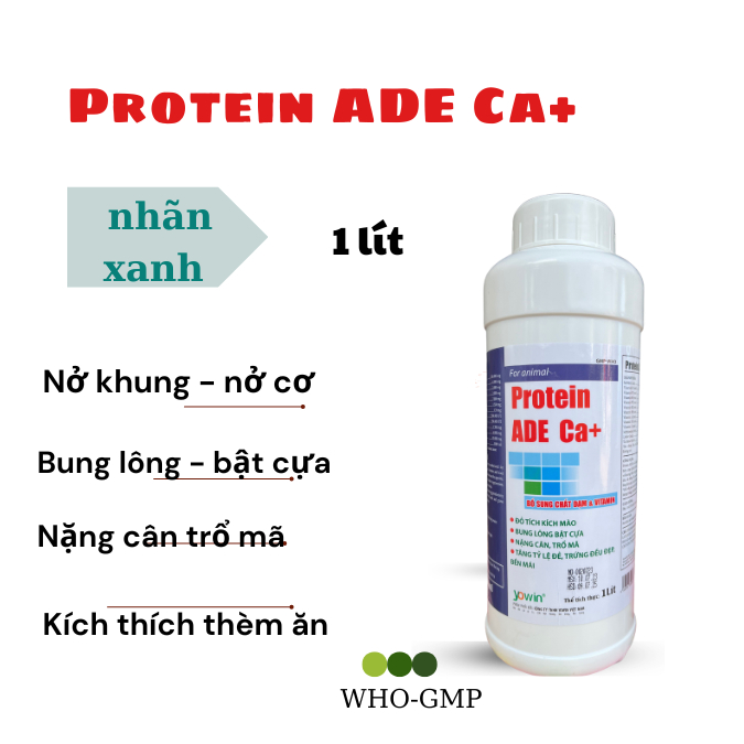 Protein AD3E 1 lít chai màu xanh, bổ sung vitamin tổng hợp cho gà