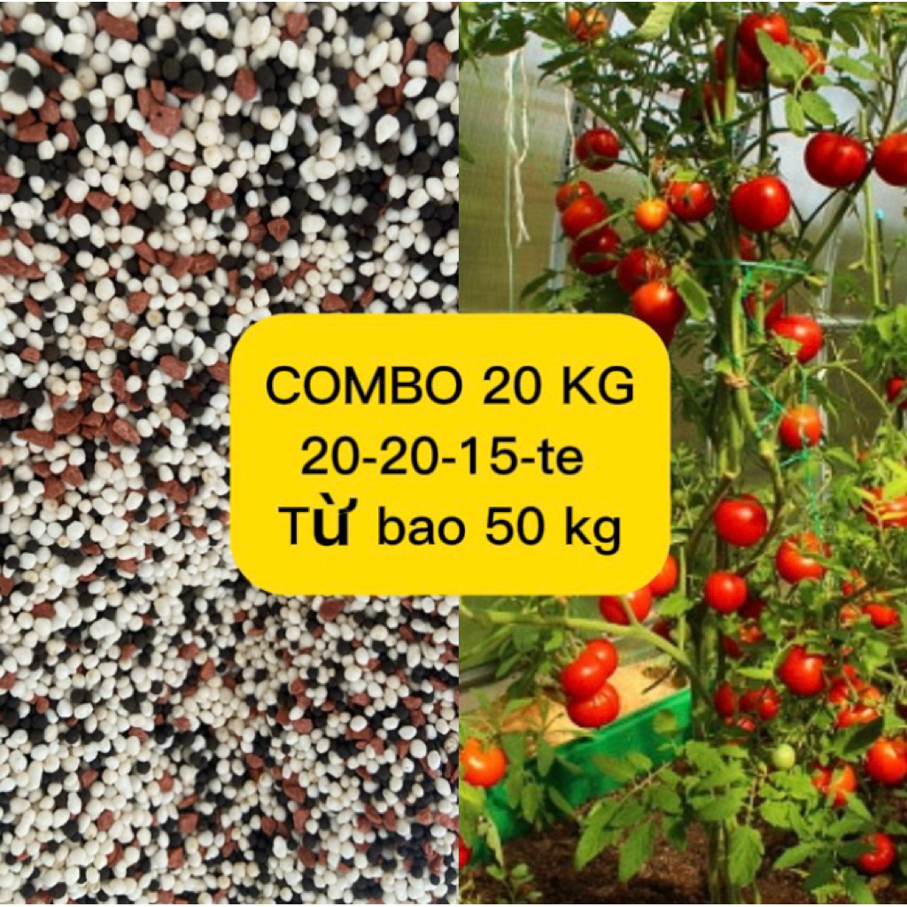 PHÂN BÓN 20-20-15-te COMBO 20 KG Phù Hợp Cho Mọi Cây Trồng