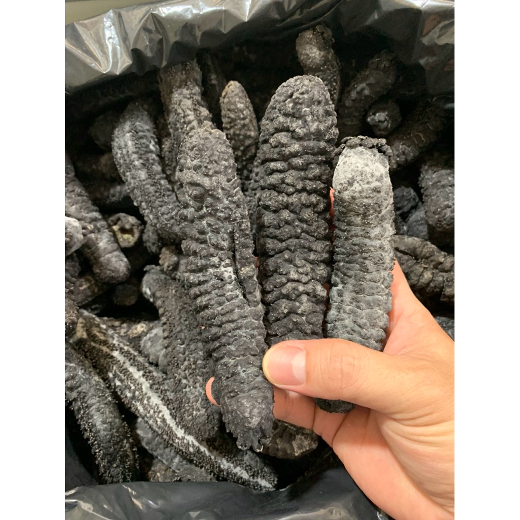 hải sâm đen tặng kèm phụ liệu ngâm_chỉ dùng ngâm không nấu ăn.