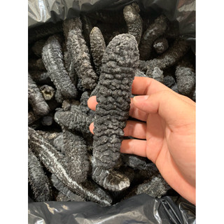 hải sâm đen tặng kèm phụ liệu ngâm_chỉ dùng ngâm không nấu ăn.