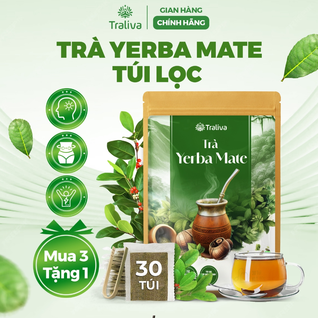 Trà Yerba Mate Túi Lọc, Trà Mate Brazil Trà Nam Mỹ   Tỉnh Táo Năng Lượng Nhẹ Nhàng