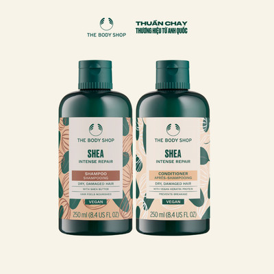 Combo Dầu Gội & Dầu Xả Bơ Hạt Mỡ Cho Tóc Hư Tổn Shea Shampoo & Conditioner 250ml The Body Shop