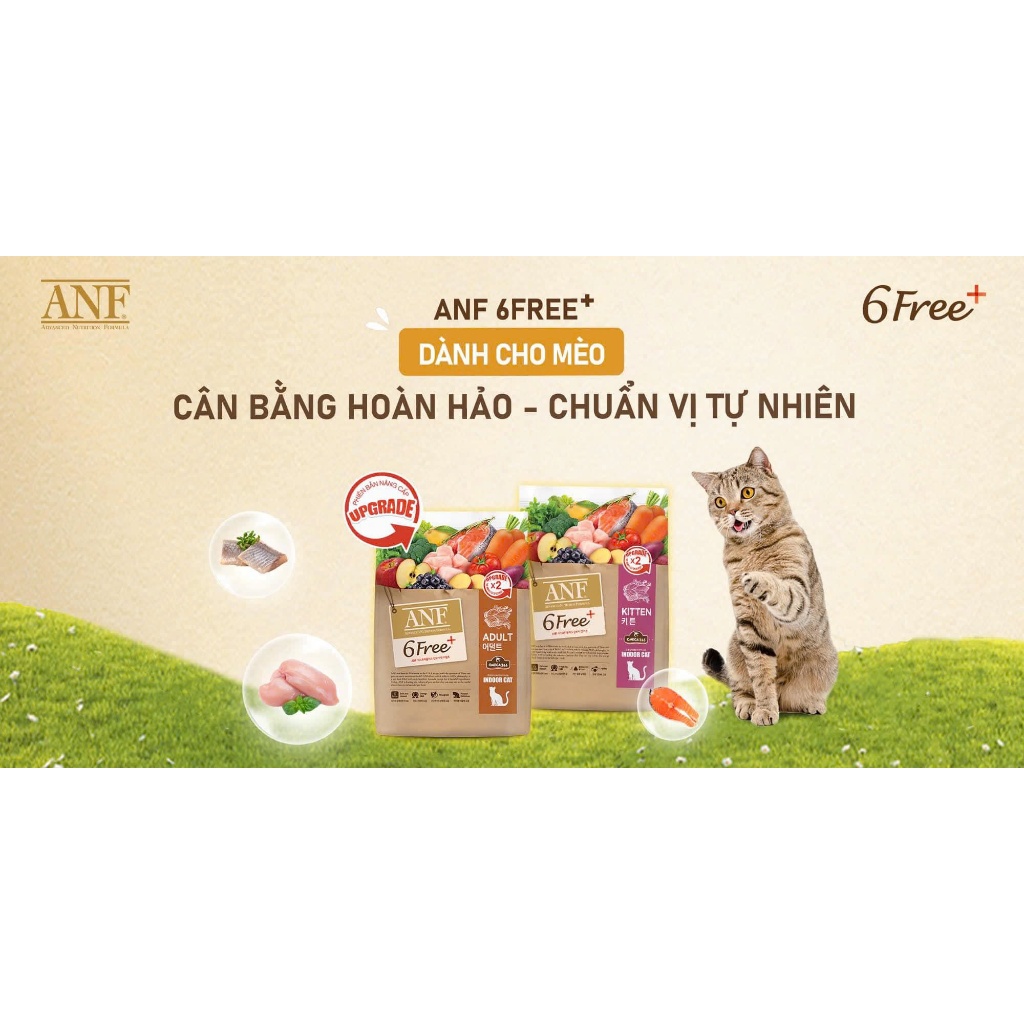 1.6kg-2kg-5.6kg-6kg ANF thức ăn hạt cho mèo 6Free Indoor Mèo Con/Trưởng Thành