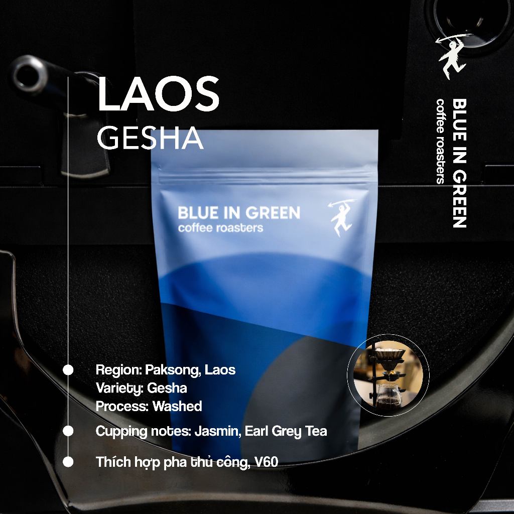 Cà phê rang Laos Gesha - Rang Nhạt - Blue in Green Coffee Roasters