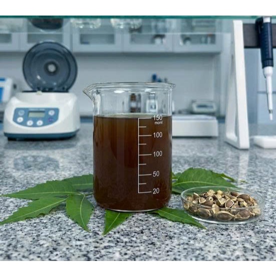 Mẫu thử 50gr - CHIẾT XUẤT LÁ NEEM - Nguyên liệu mỹ phẩm - GARDENLAB.VN