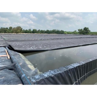 Màng chống thấm HDPE dày 0.3mm, 0,5mm Kích thước 3x50M siêu to