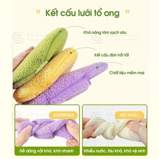 Cọ rửa mặt silicon & Bông mút bọt biển rửa mặt AMORTAISii 12mm siêu mềm mịn