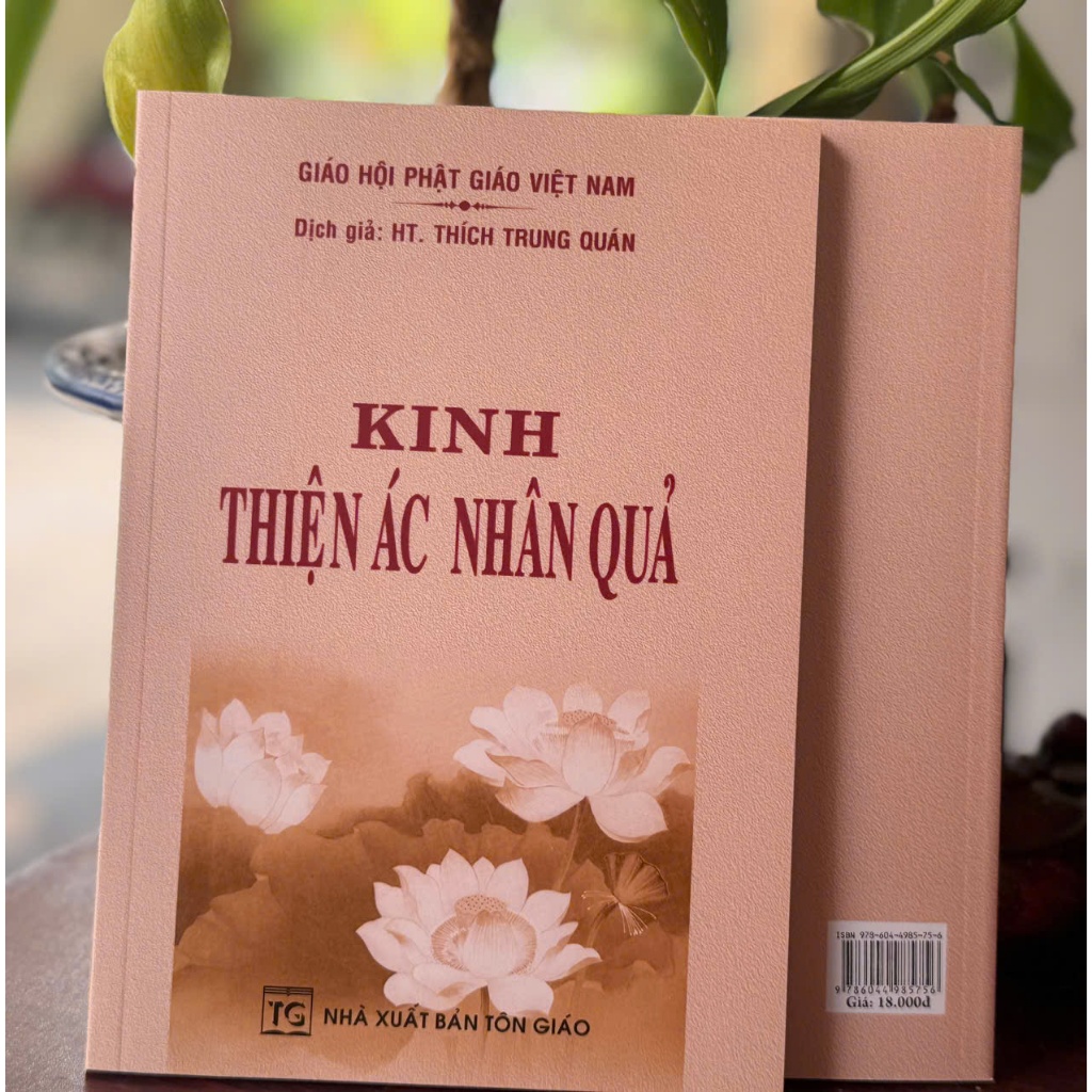 Sách - Kinh Thiện Ác Nhân Quả
