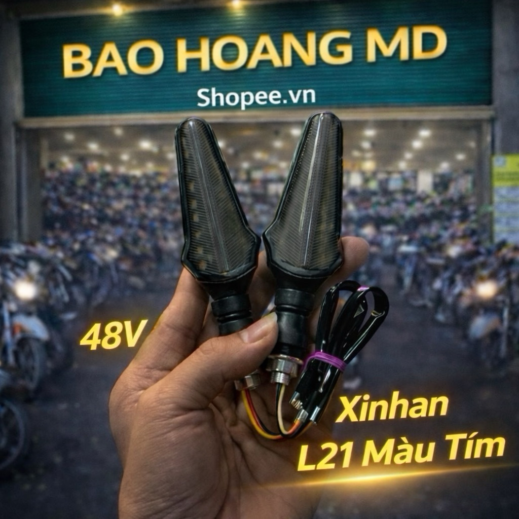1 đôi xinhan l21 48v dành cho xe điện 133s m