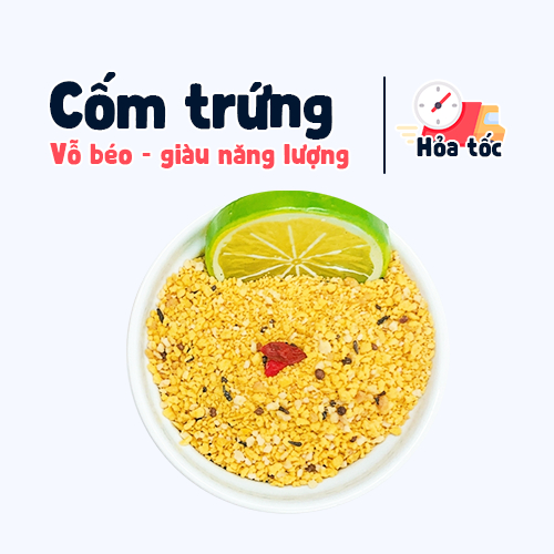 Cốm trứng vỗ béo cho Hamster
