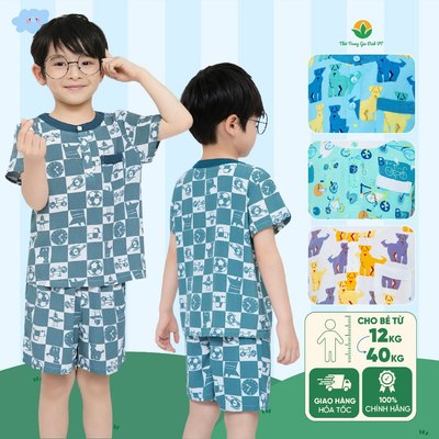 Bộ mặc nhà bé trai chất Lanh Việt Thắng , quần đùi, áo cổ tàu họa tiết - B63.6104