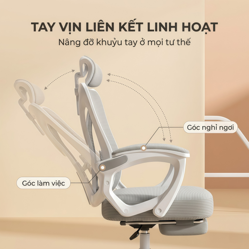 IB Ghế công thái học cao cấp Đệm cao su non êm ái Ngồi 8 giờ không mỏi Chịu tải 200kg Sang trọng | BigBuy360 - bigbuy360.vn