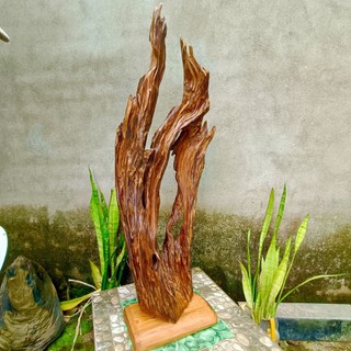 lũa ngọc am đỏ hà giang