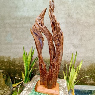 lũa ngọc am đỏ hà giang