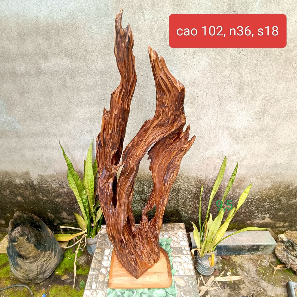 lũa ngọc am đỏ hà giang