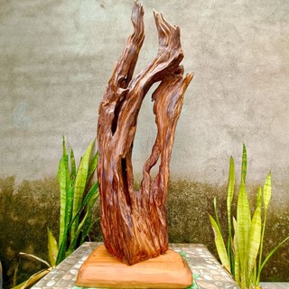 lũa ngọc am đỏ hà giang