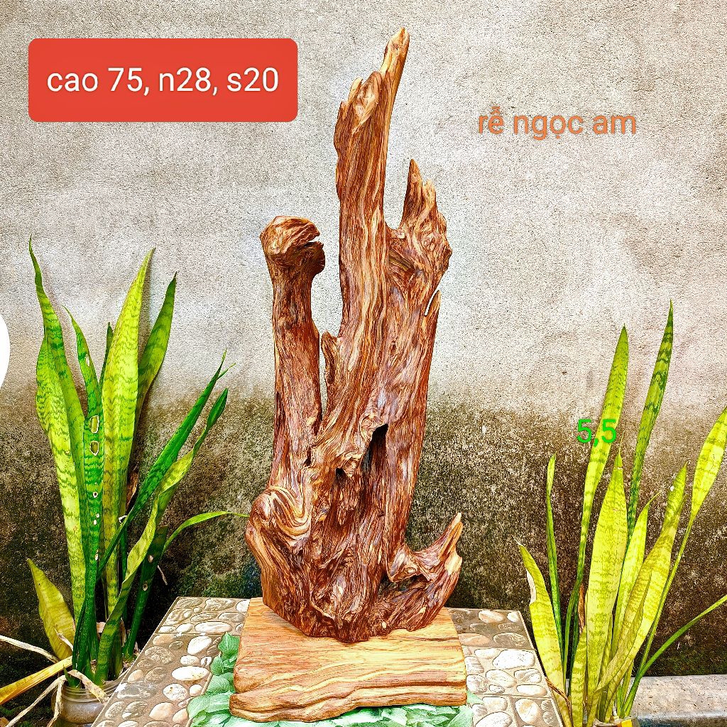 Lũa gỗ thơm ngọc am đỏ