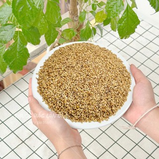 Bá tử nhân khô 1kg, trắc bá diệp, thơm, sạch, không lẫn tạp chất - Lãn Ông