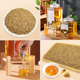Bá tử nhân khô 1kg, trắc bá diệp, thơm, sạch, không lẫn tạp chất - Lãn Ông
