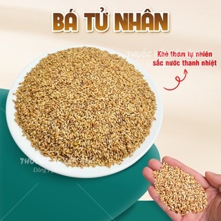 Bá tử nhân khô 1kg, trắc bá diệp, thơm, sạch, không lẫn tạp chất - Lãn Ông