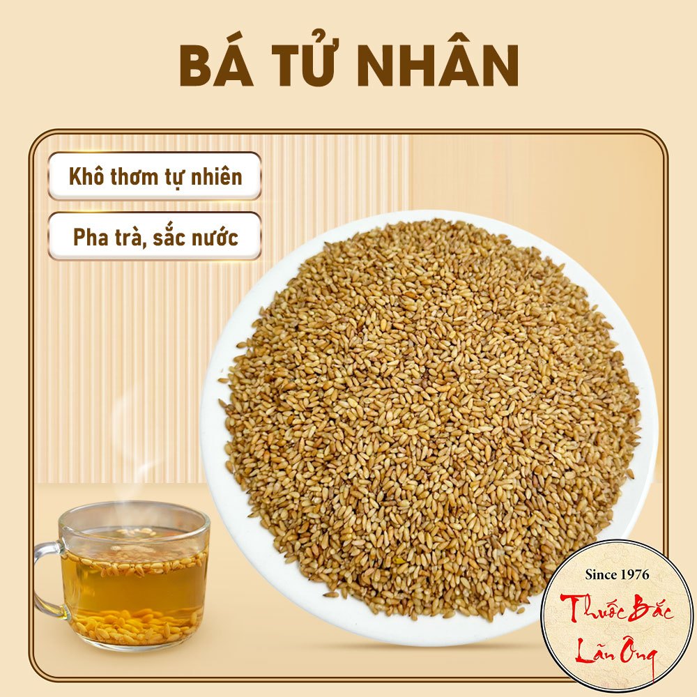 Bá tử nhân khô 100g, trắc bá diệp, thơm, sạch, không lẫn tạp chất - Lãn Ông