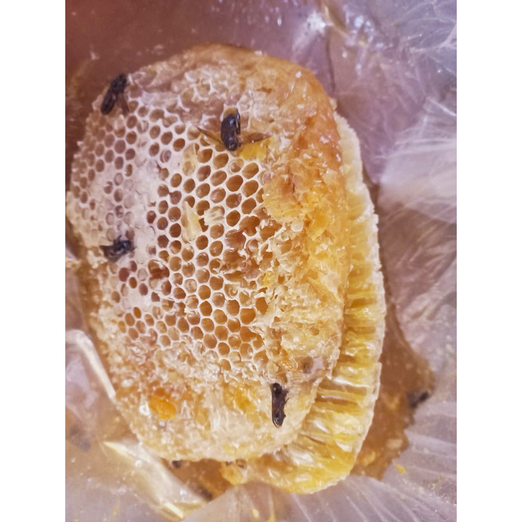Mật ong Khoái rừng Kbang - Gia Lai