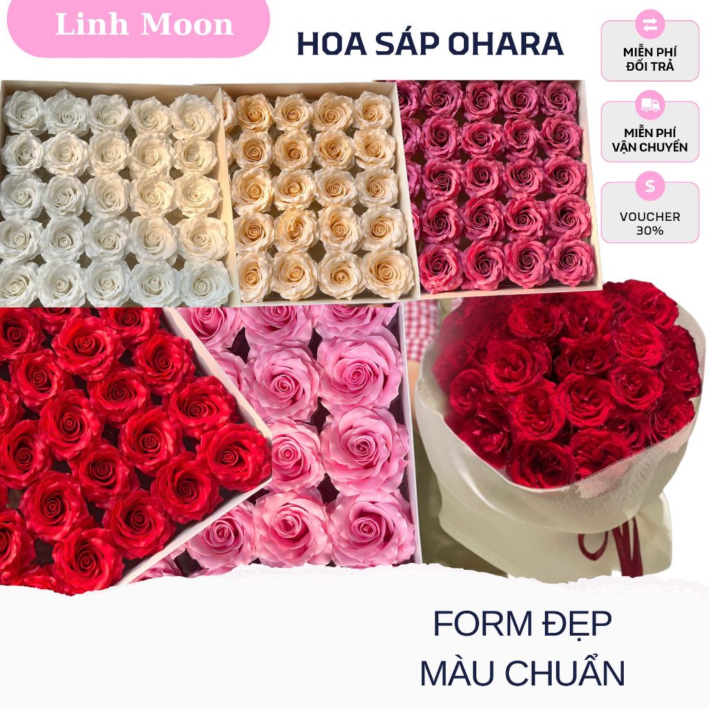 HOA SÁP OHARA Hộp 25 Bông Hoa Sáp Ohara Hoa Sáp Thơm Cao Cấp Linh Moon