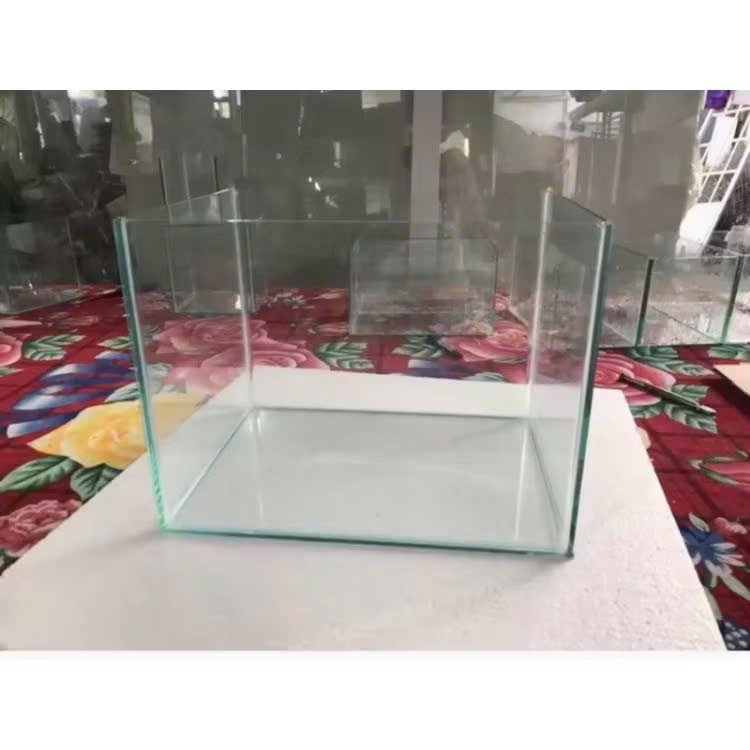Bể cá cảnh 40x30x30 siêu trong giao hàng toàn quốc