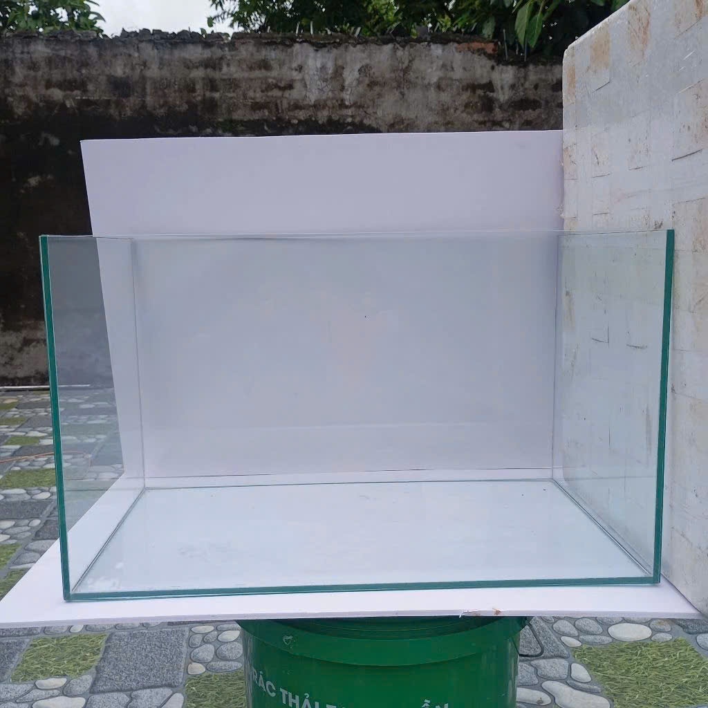 Bể 50x30x30 siêu trong, giao hàng toàn quốc