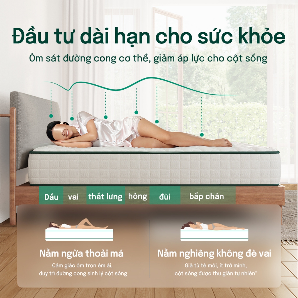 Mosswood 20cm Nệm Foam  Lò xo túi độc lập, giảm tiếng ồn, hỗ trợ cột sống | BigBuy360 - bigbuy360.vn