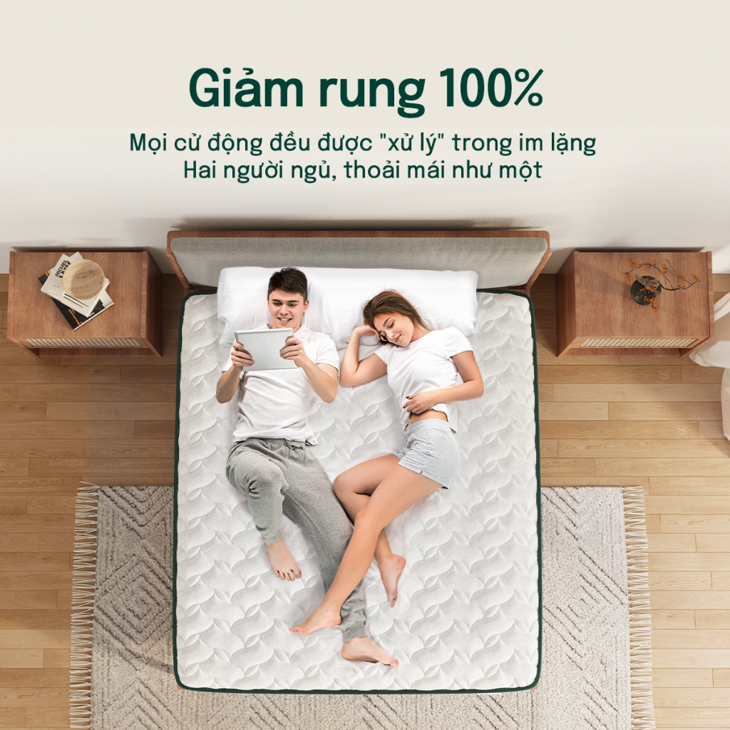 Mosswood 20cm Nệm Foam  Lò xo túi độc lập, giảm tiếng ồn, hỗ trợ cột sống | BigBuy360 - bigbuy360.vn