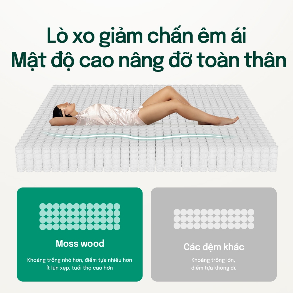 Mosswood 20cm Nệm Foam  Lò xo túi độc lập, giảm tiếng ồn, hỗ trợ cột sống | BigBuy360 - bigbuy360.vn