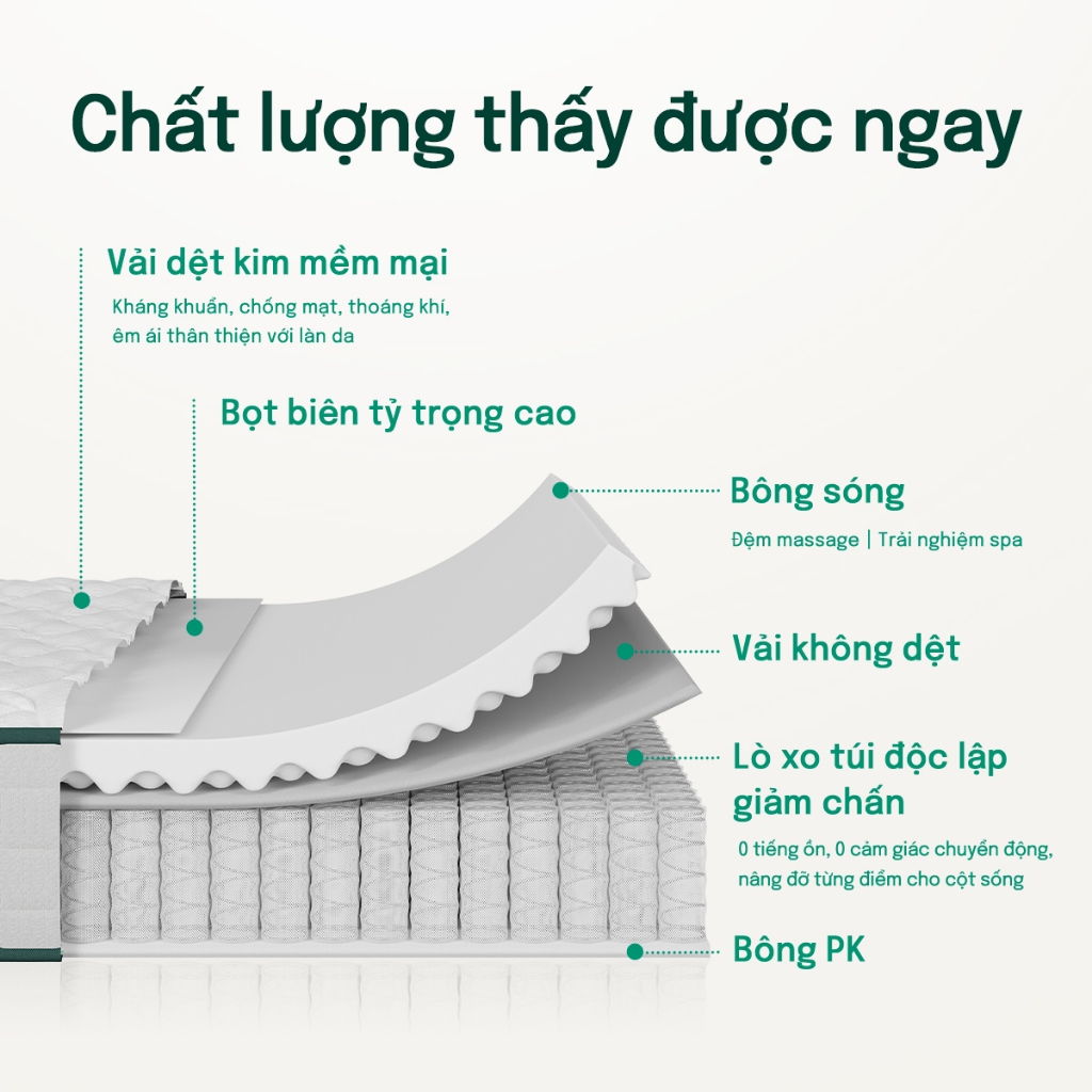Mosswood 20cm Nệm Foam  Lò xo túi độc lập, giảm tiếng ồn, hỗ trợ cột sống | BigBuy360 - bigbuy360.vn