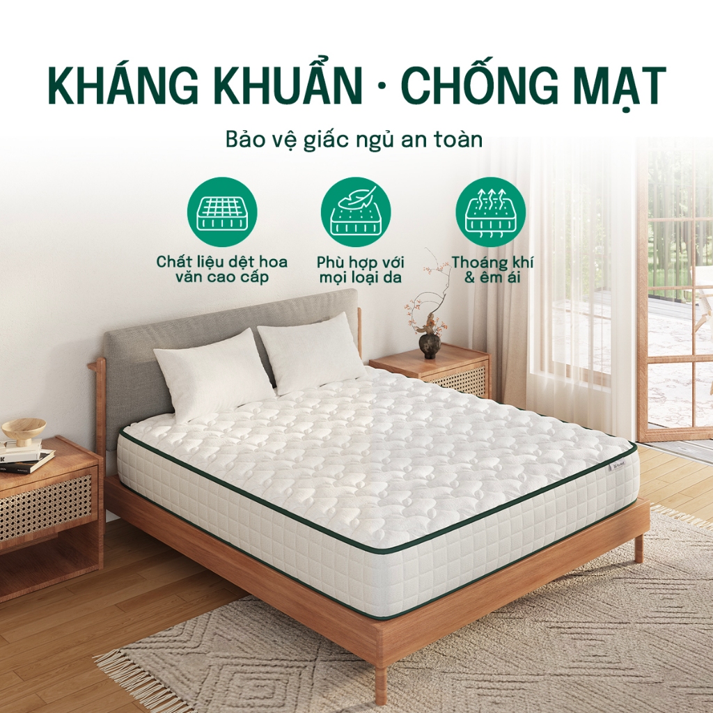 Mosswood 20cm Nệm Foam  Lò xo túi độc lập, giảm tiếng ồn, hỗ trợ cột sống | BigBuy360 - bigbuy360.vn