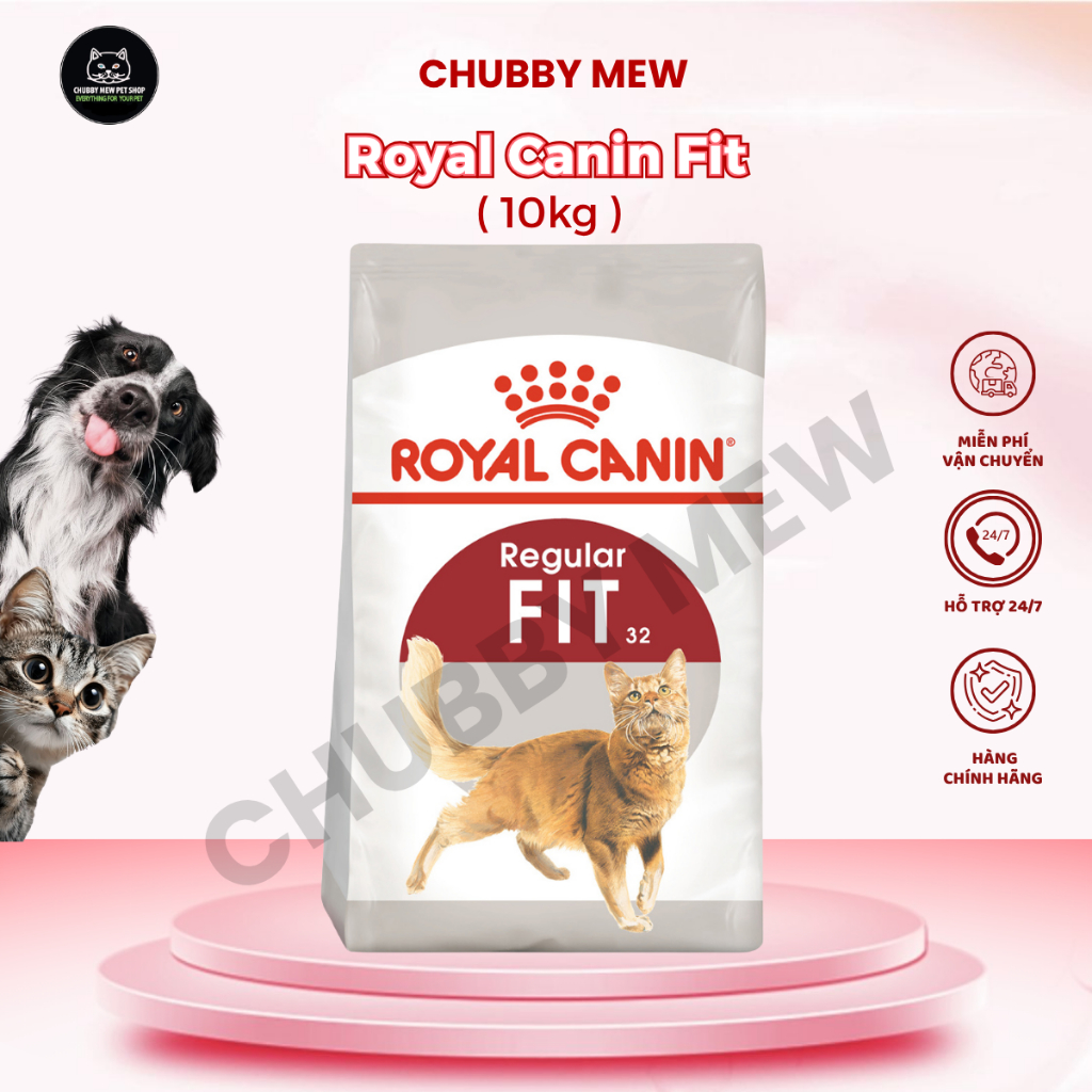Royal Canin Fit 10kg - thức ăn mèo - Chubby Mew