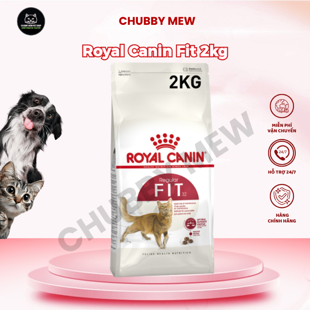Royal Canin Fit 2kg - thức ăn mèo-Chubby Mew