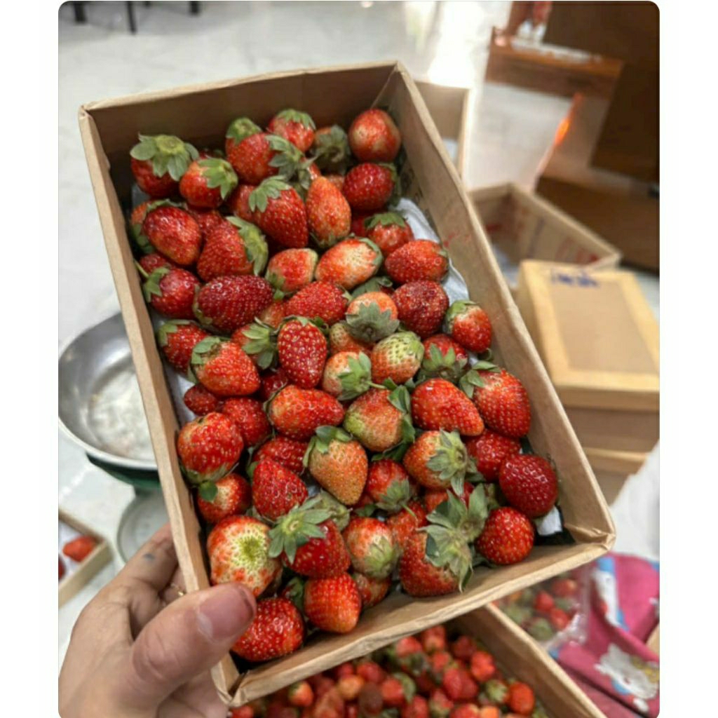 1kg dâu nhật sky ngọt chua nhẹ( kèm muối chấm)