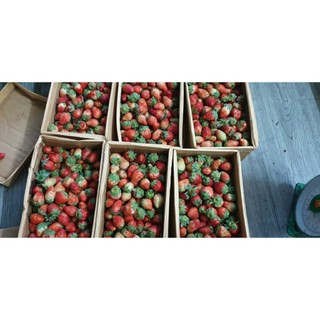 1kg dâu nhật sky ngọt chua nhẹ( kèm muối chấm)