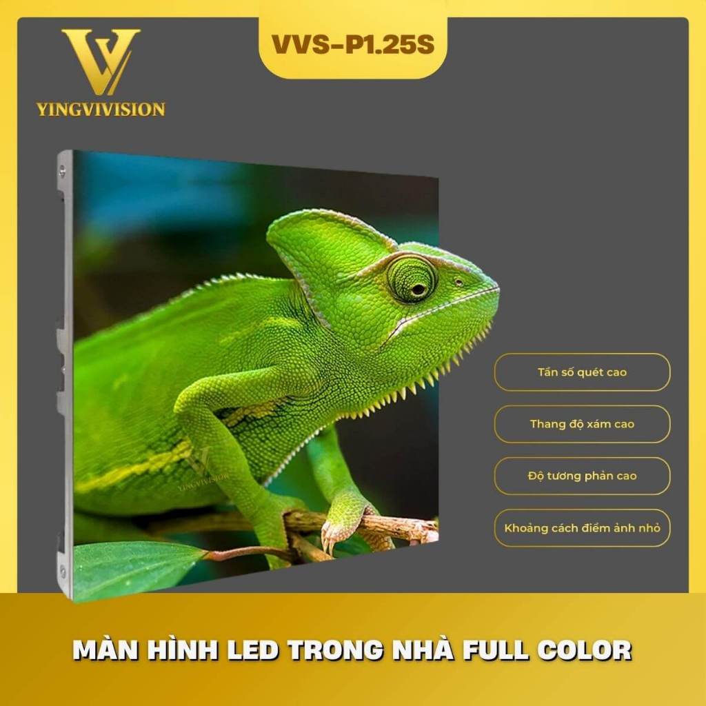Màn Hình LED P1.25 P1.53 P1.86 P2 P2.5 P3 P4 P5 Trong Nhà Full Color Giá Nhà Máy