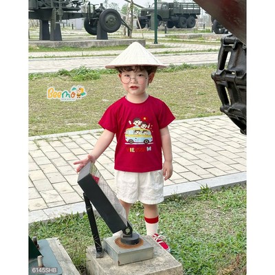 Áo thun cộc tay Beemo in hình em bé Việt Nam vải cotton co giãn cho bé đi học, đi chơi 6145SHB