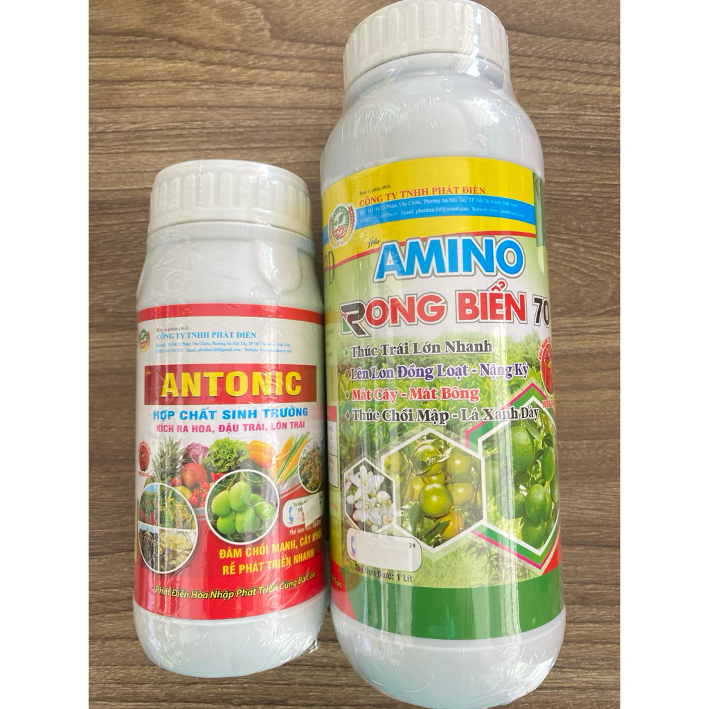 COMBO ( ANTONIC + AMINO RONG BIỂN )
