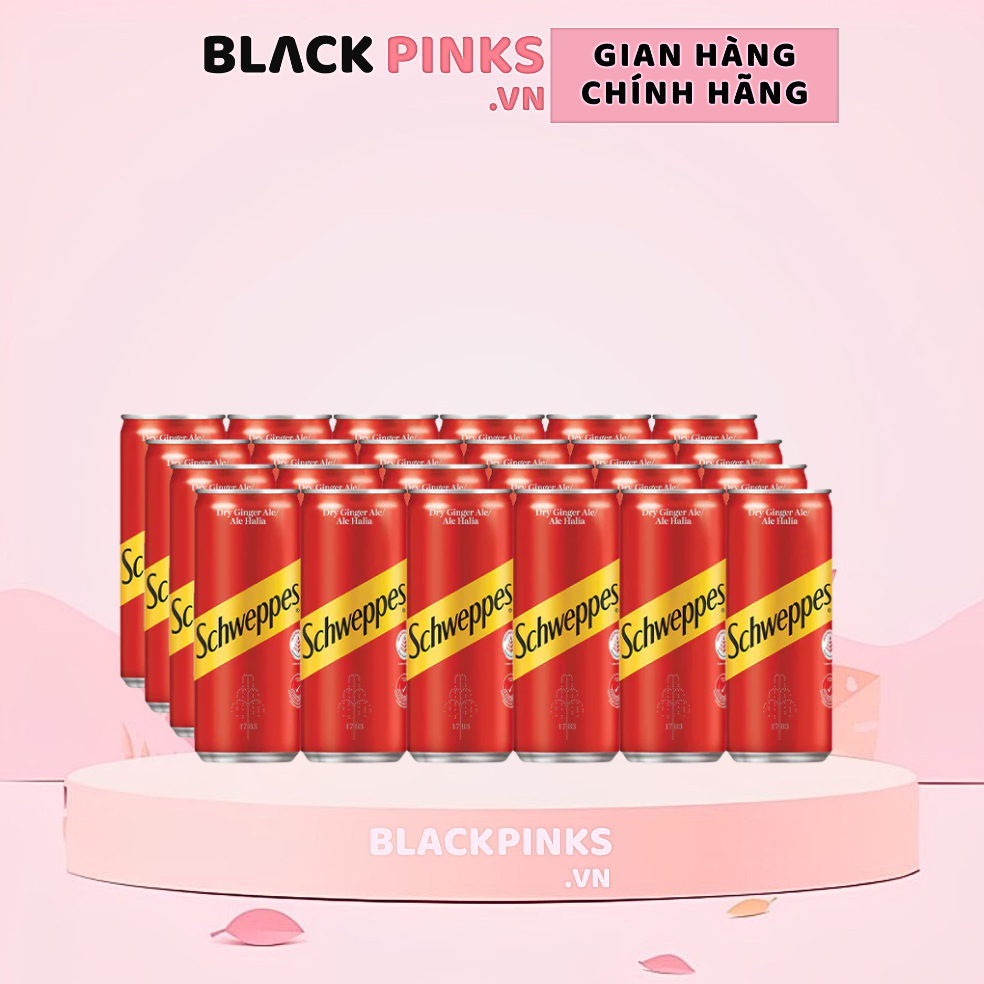 Thùng 24 lon nước soda Schweppes Dry Ginger Ale lon 320ml