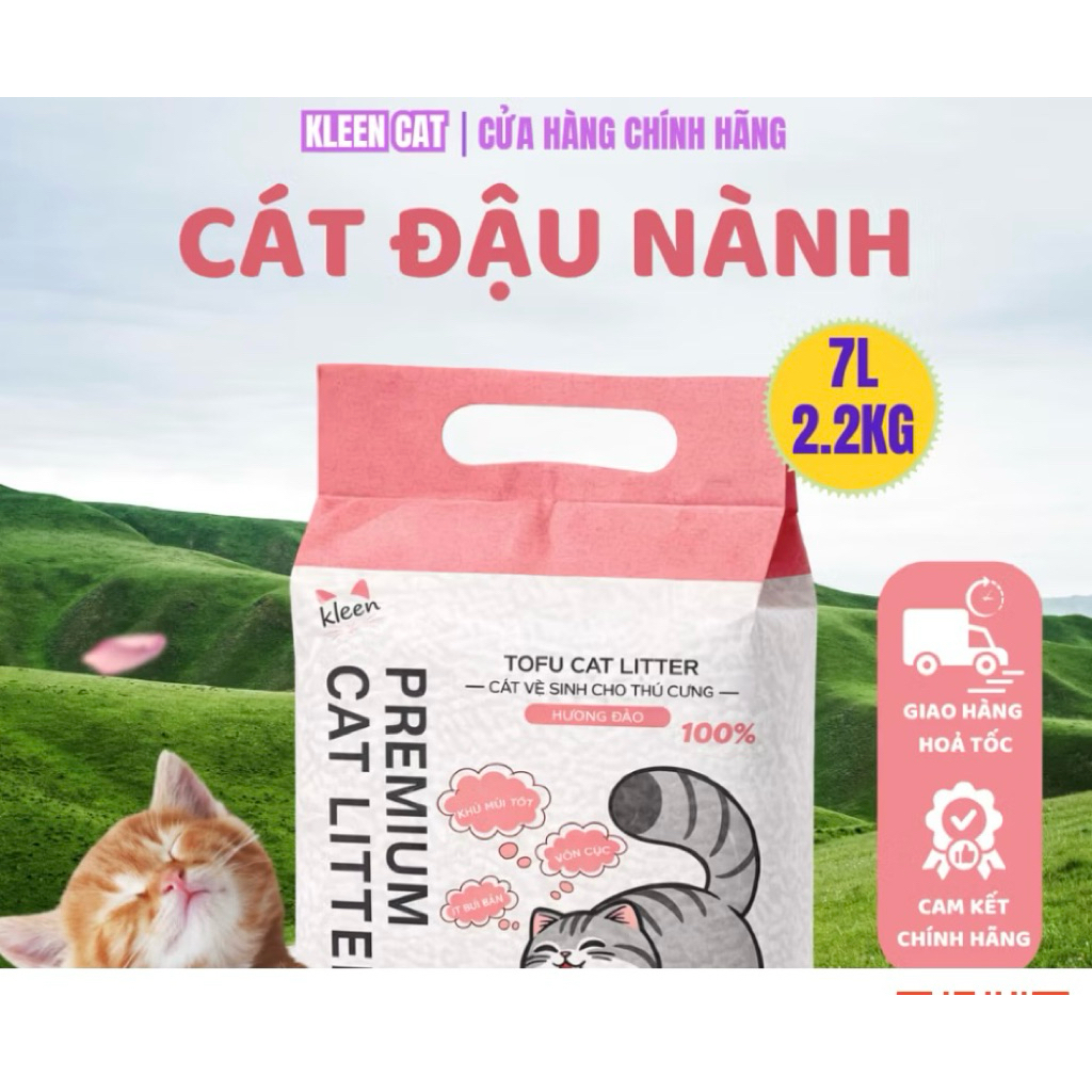cát mèo/ Kleen
