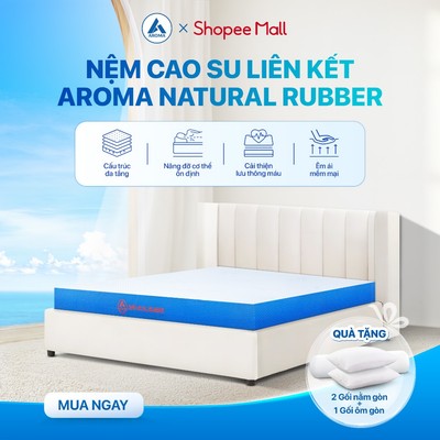 Nệm Cao Su Hybrid Natural Rubber Đệm Foam Kết Hợp 2cm Cao Su Thiên Nhiên Êm Ái Bảo Hành 10 Năm