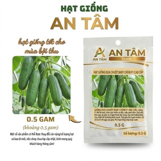Hạt Giống Dưa Chuột Chùm – Hàng Công Ty Chất Lượng Cao