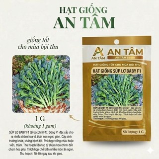 COMBO HẠT GIỐNG CÀ RỐT – CỦ CẢI – SU HÀO-CỦ CẢI,SÚP LƠ DỄ TRỒNG túi zíp