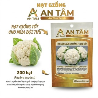 COMBO HẠT GIỐNG CÀ RỐT – CỦ CẢI – SU HÀO-CỦ CẢI,SÚP LƠ DỄ TRỒNG túi zíp