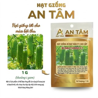 Hạt Giống Bí Đao Chanh –Vỏ Xanh Nhạt, Thịt Ngon Ngọt