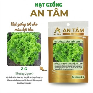 Hạt Giống Xà Lách xoăn xanh,xà lách chịu nhiệt,xà lách xoăn đỏ