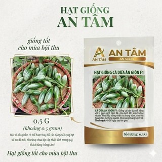 Hạt Giống Cà Pháo trắng, cà pháo xanh, cà tím tròn – Cà Tím F1 Trái To, Sai Quả – Ăn Giòn, Dễ Trồng túi zíp